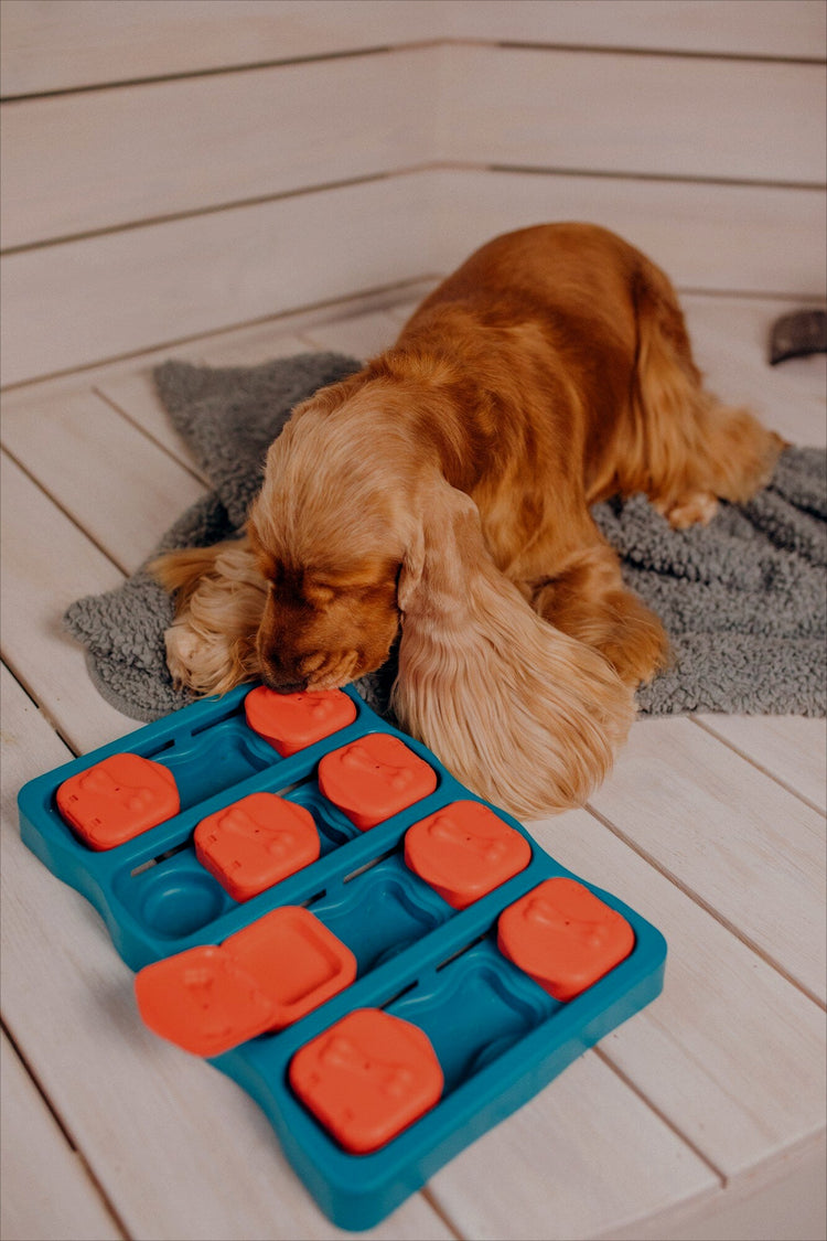Dog Toys